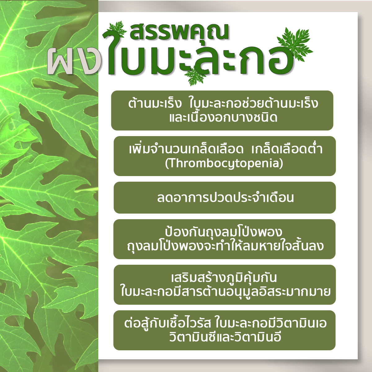 ผงใบมะละกอ ออร์แกนิค ไร้สารพิษ ปราศจากสารเคมี ส่งเร็ว ขนาด 80 กรัม