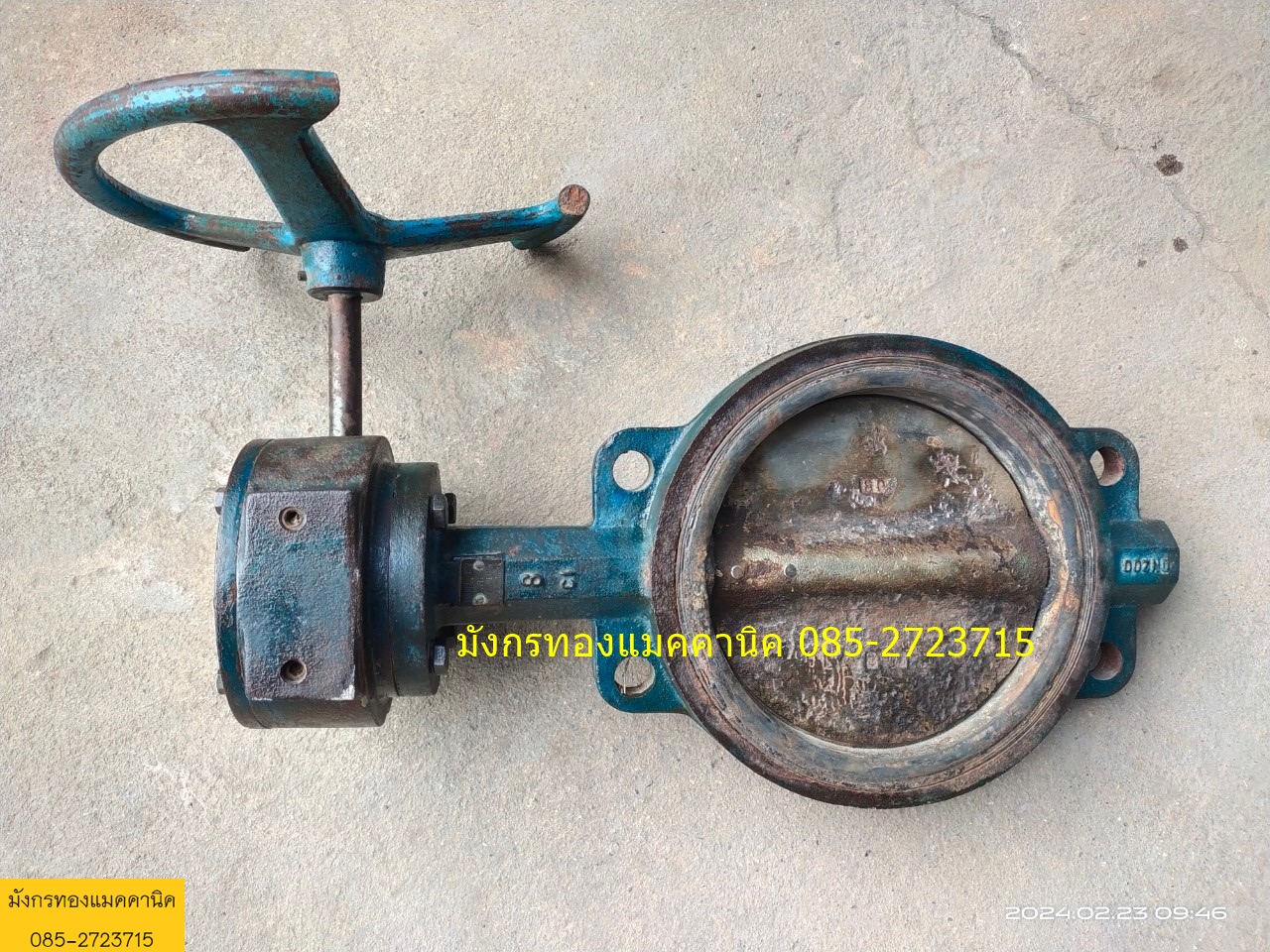 วาล์วปีกผีเสื้อ ขนาด 8 นิ้ว แบบพวงมาลัยหมุน