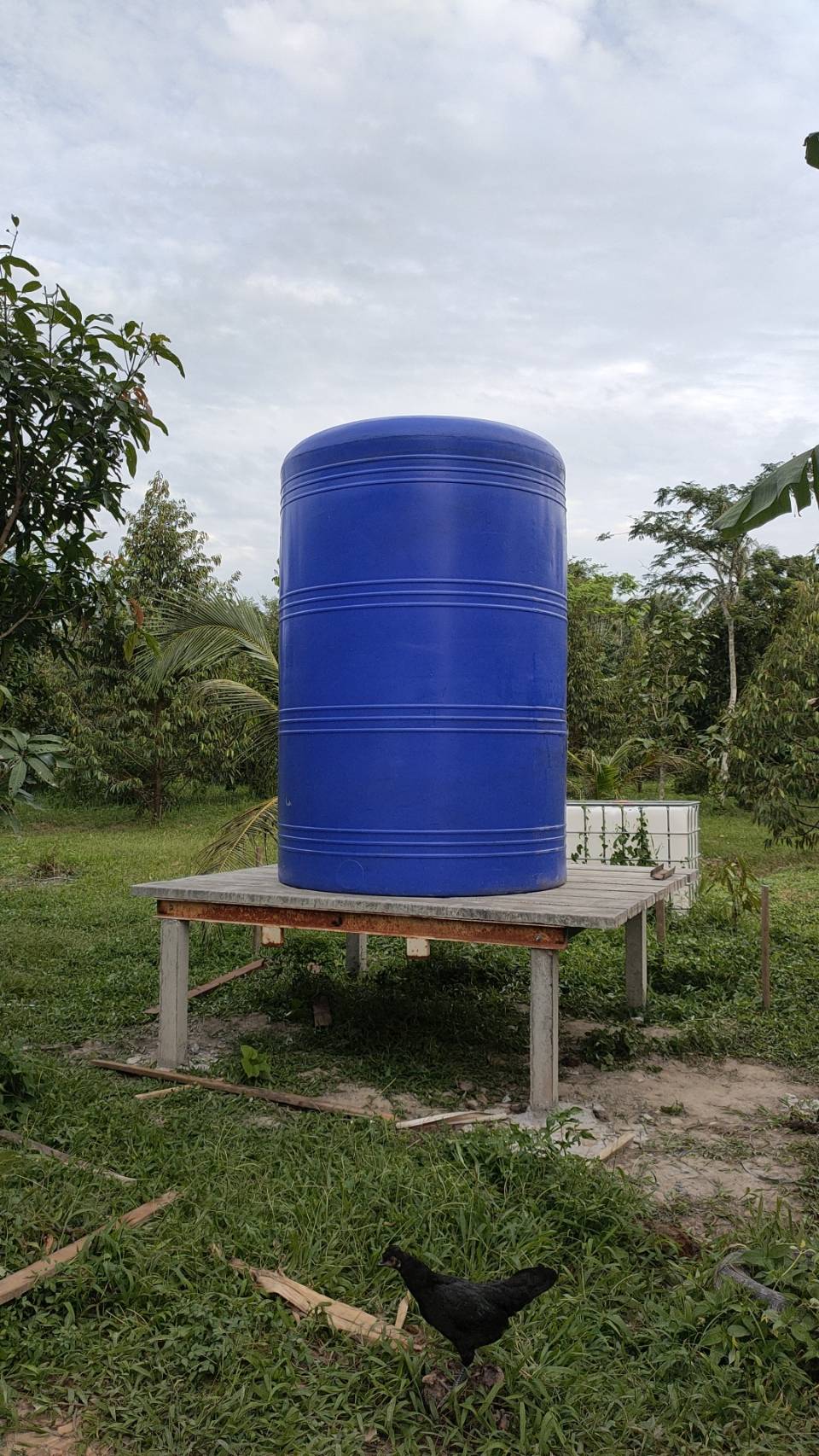 แทงค์ 5000 ล.P&S(น้ำเงิน)หนา8มิล ประกัน15ปี แถมลูกลอย มีมอก.ส่งฟรีกรุงเทพฯ.ระยอง สุพรรณ กาญฯปากช่อง ปราจีน ปราณบรุี แก่งกระจาน ชะอำ ชัยบาดาล