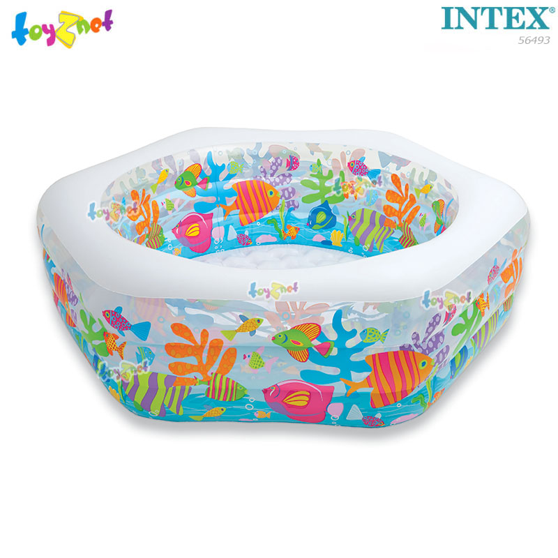 Intex Ocean Reef Swim Center Pool 0.93 x 1.80 x 0.64 M. No.56493