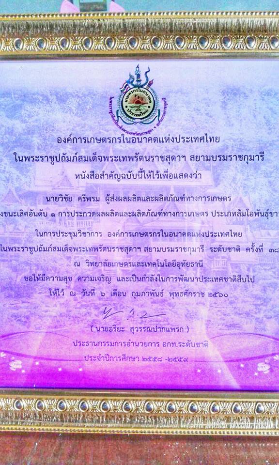 กิ่งพันธุ์ส้มโอขาวแตงกวา ชุด 5 กิ่ง