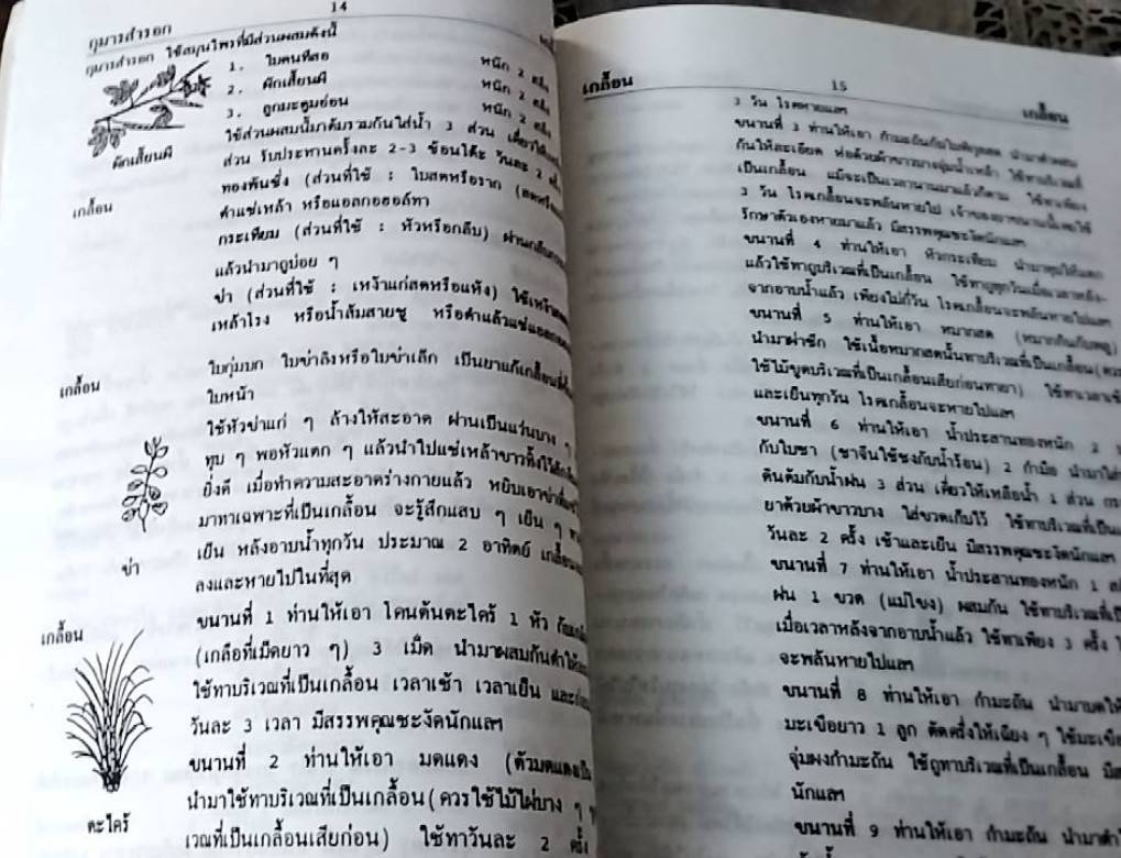 พจนานุกรมโรคและสมุนไพรไทย