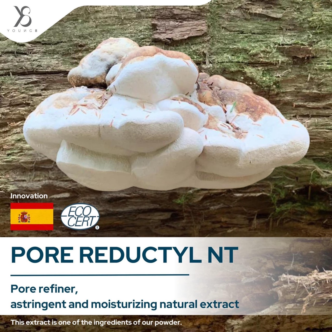 Pore Reductyl NT