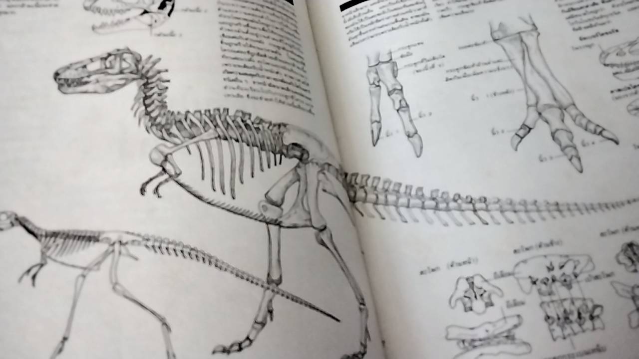 ไดโนเสาร์