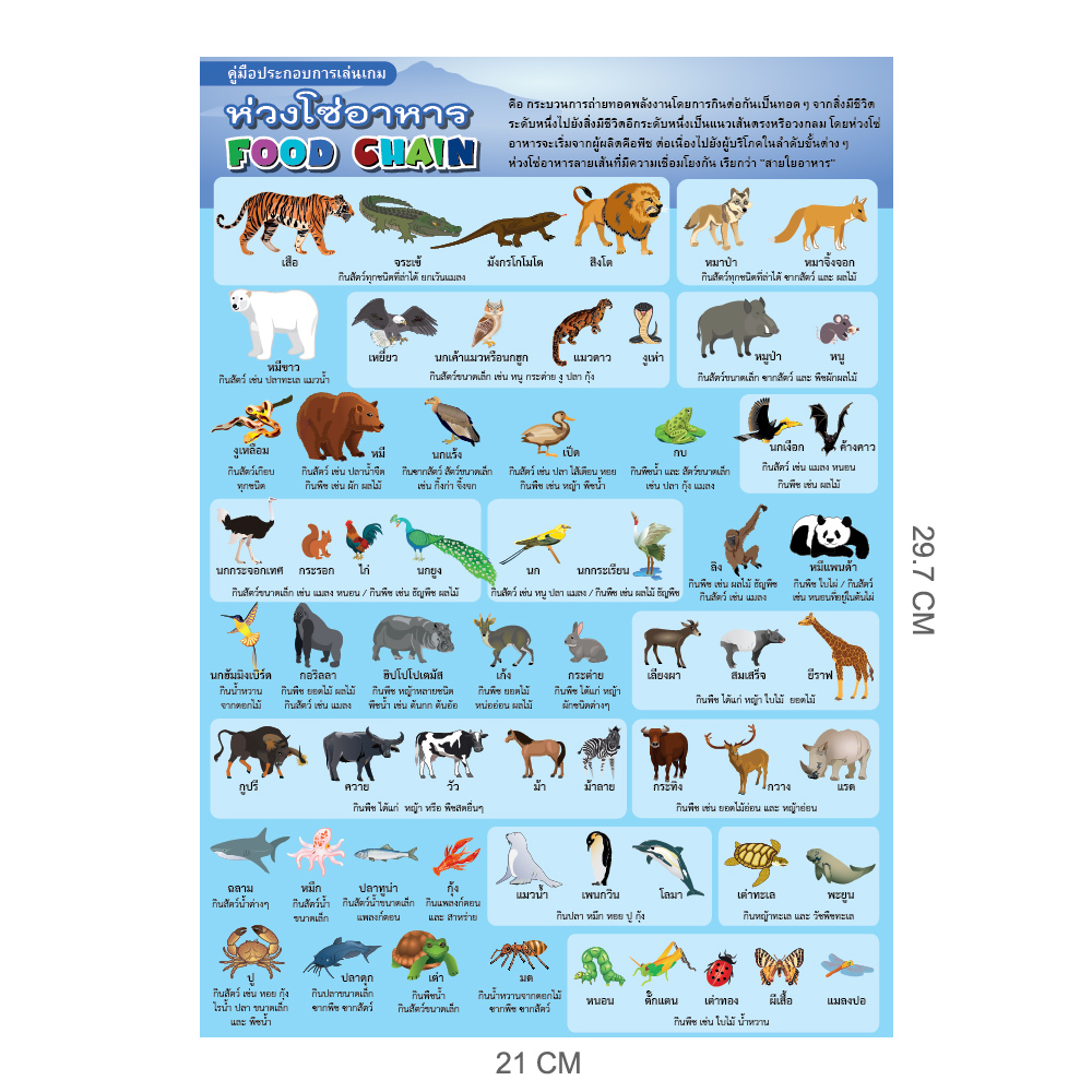 บัตรคำเกมฝึกทักษะ ห่วงโซ่อาหาร ET-531