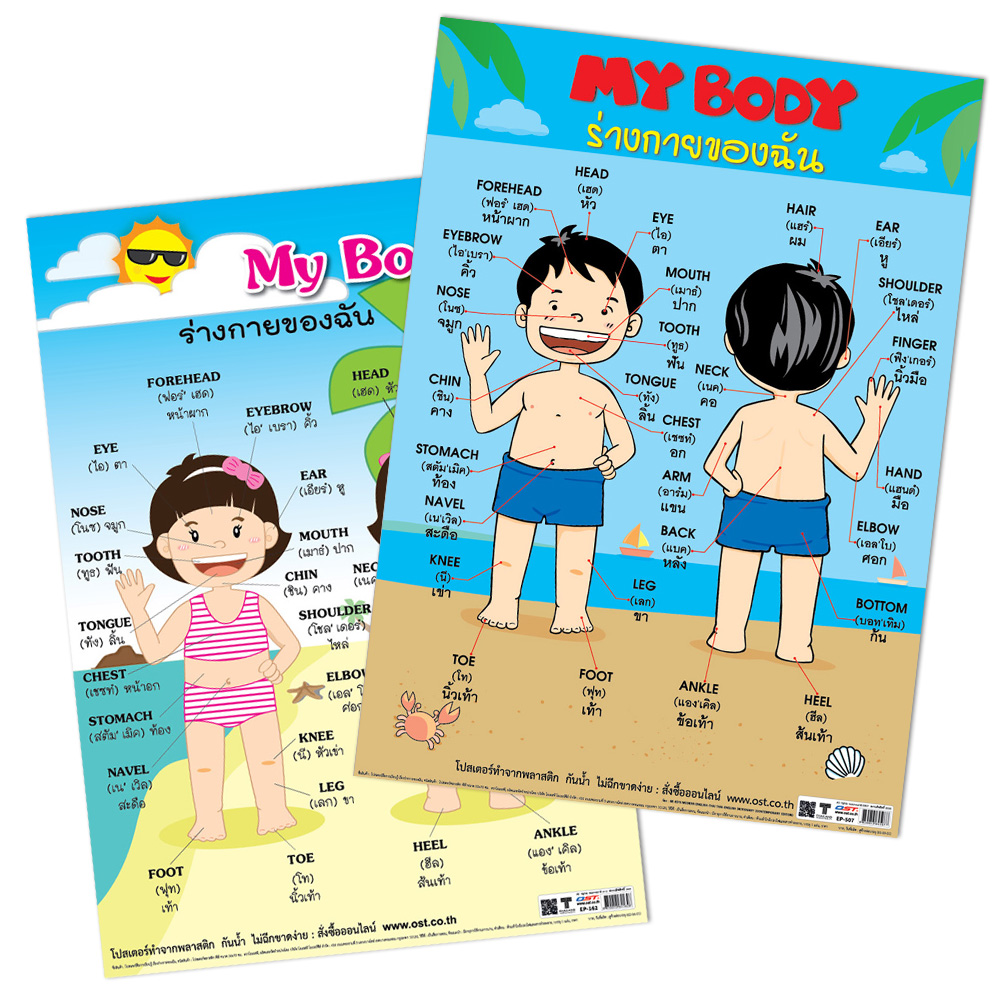 English-Thai My Body Educational Posters