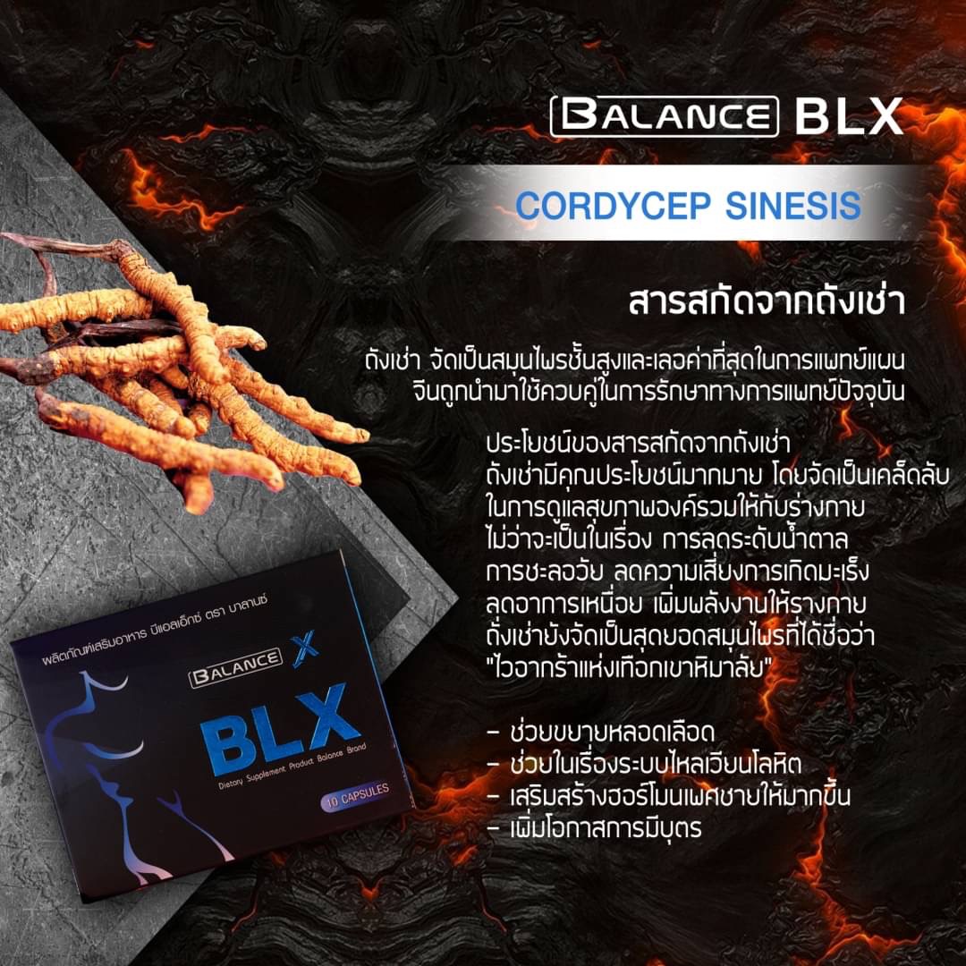 สารสกัดถั่งเช่า ในอาหารเสริม BLX