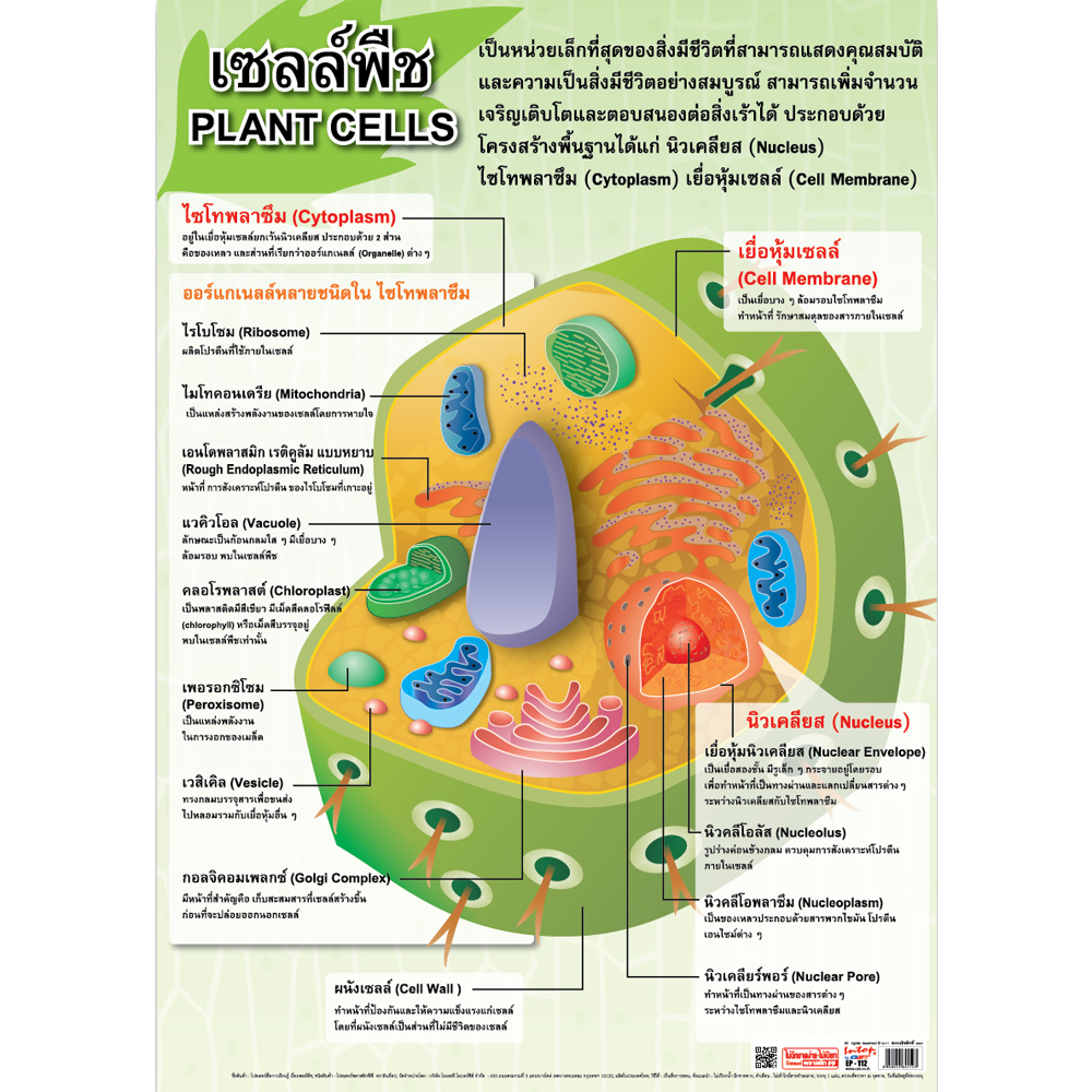 Plants Cells Educational Posters No.112
