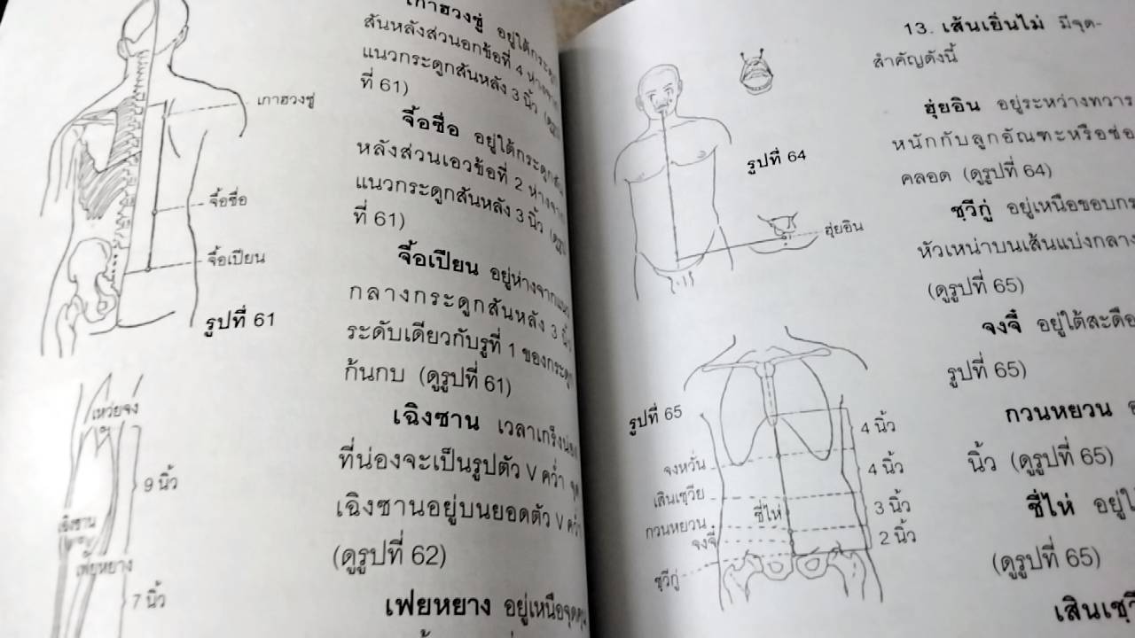 คู่มือ กดจุด 174 จุด หยุดป่วย ตามหลักการแพทย์จีน