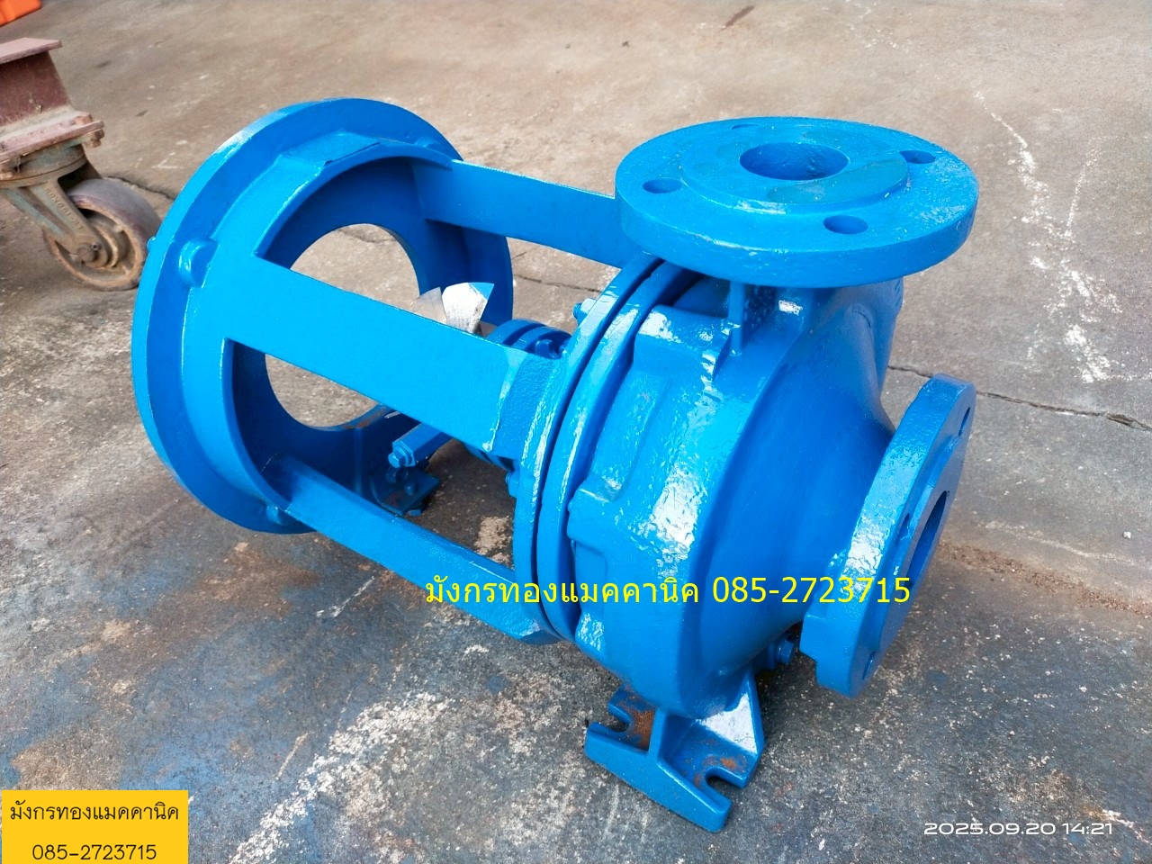 ปั๊มน้ำมันร้อน เข้า 2.5 ออก 2 นิ้ว ใบพัดด้านหลังสแตนเลส