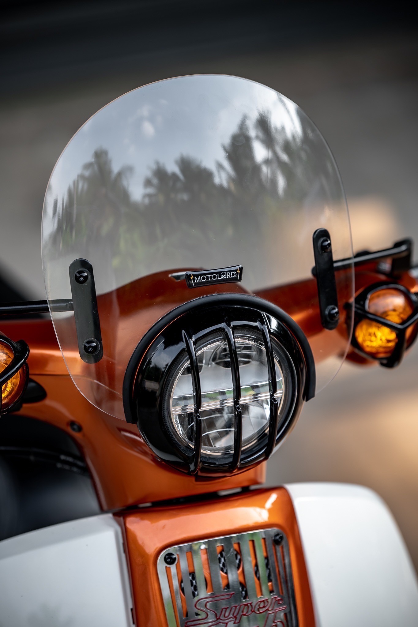 HONDA SuperCUB C125-C110 MotolordD