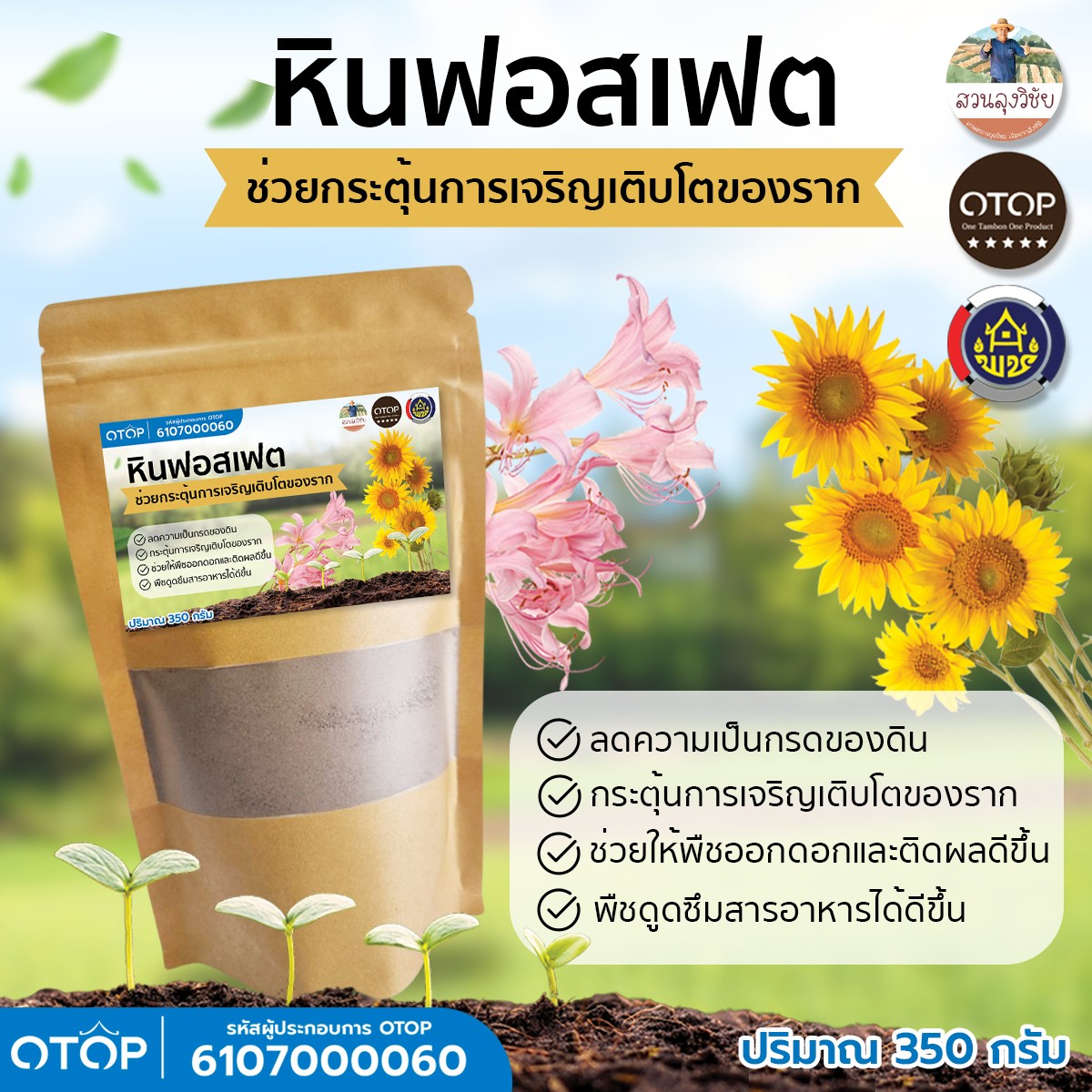 หินฟอสเฟต แร่ฟอสเฟต ขนาด 350 กรัม ดินผสมดินปลูก เพิ่มธาตุอาหารในดิน ฟื้นฟูสภาพดิน