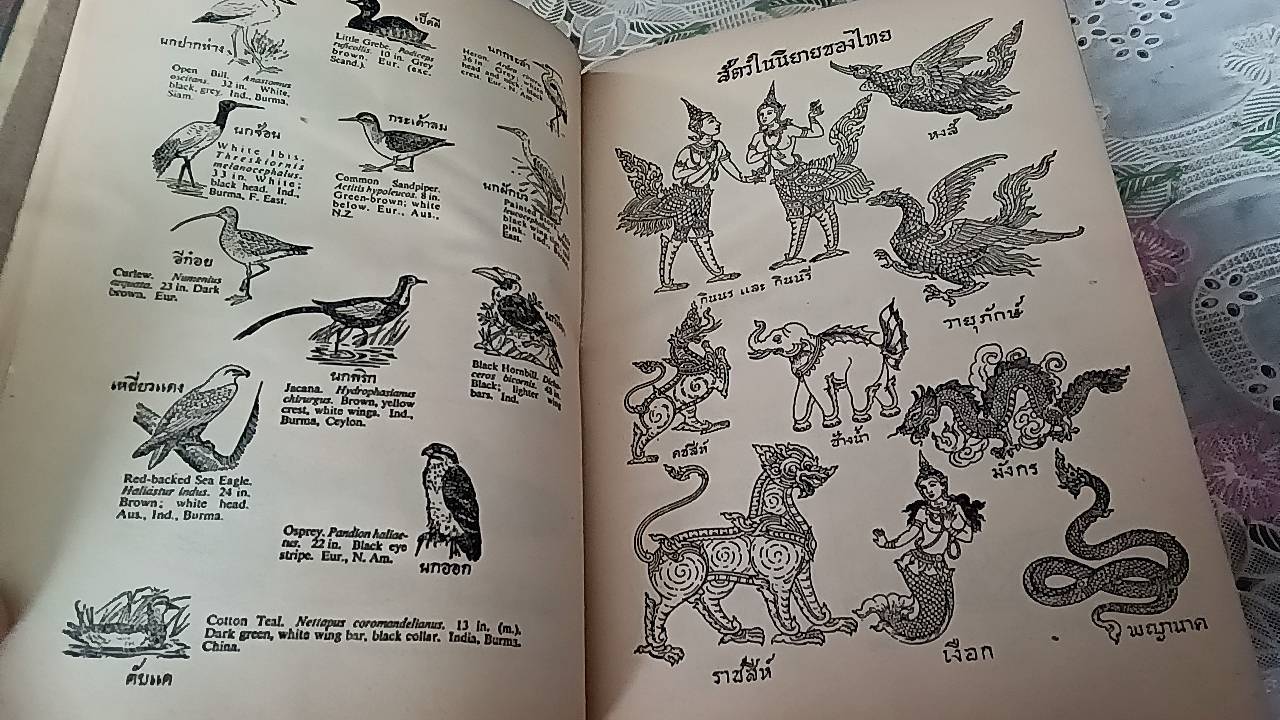 พจนานุกรมไทย