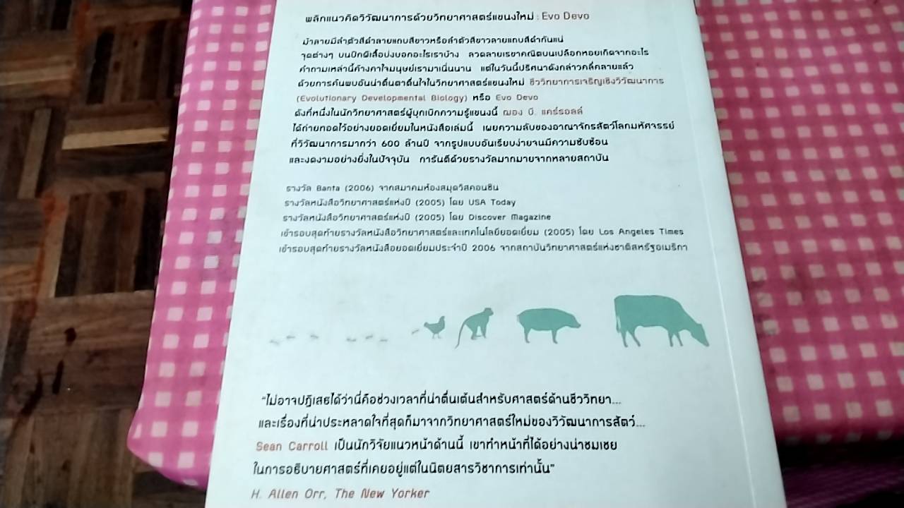 ลวดลายสีสัน มหัศจรรย์วิวัฒนาการชีวิต