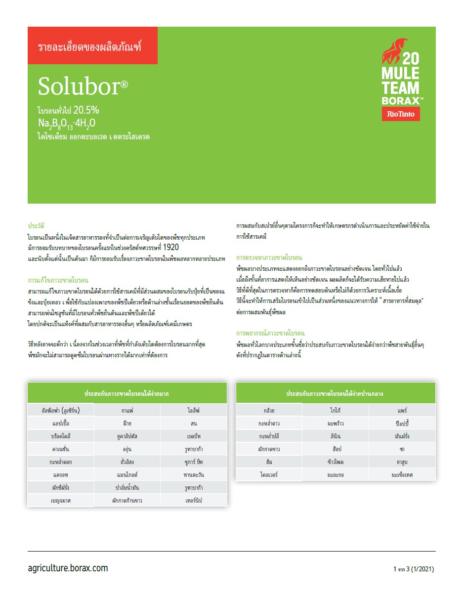 Solubor โซลูบอร์ ผงจุลธาตุโบรอน 20.5% (Disodium Octaborate Tetrahydrate) บรรจุ 1 กิโลกรัม (R)