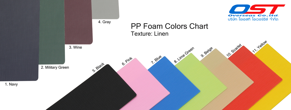 Plastic Document Bag