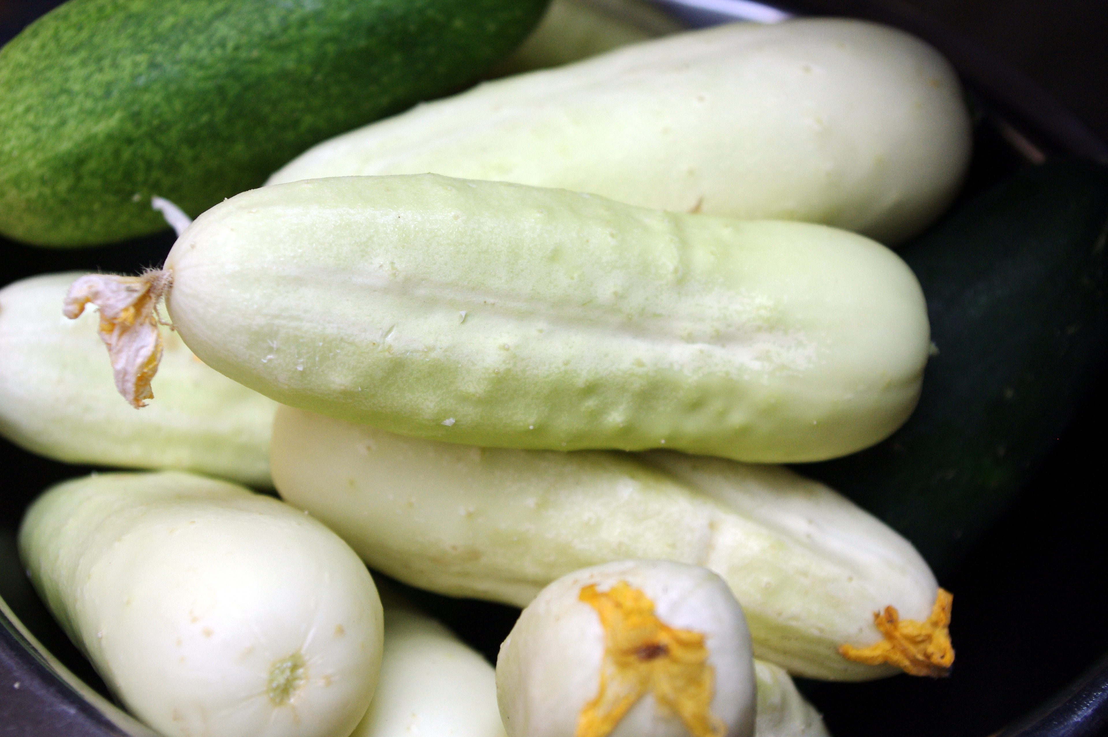 เมล็ดพันธุ์ แตงกวาสีขาว