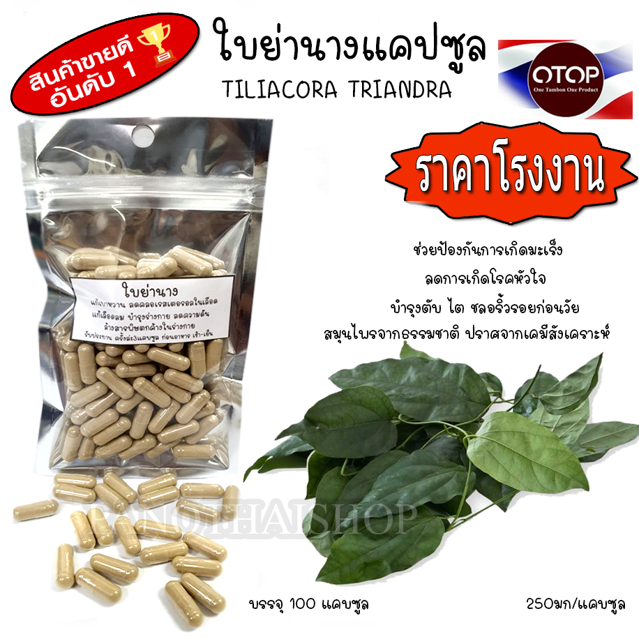ใบย่านาง แคปซูล ออร์แกนิค100%ปลูกแบบไร้สารเคมี บด100%พร้อมบรรจุแคบซูลขนาด 250 มก