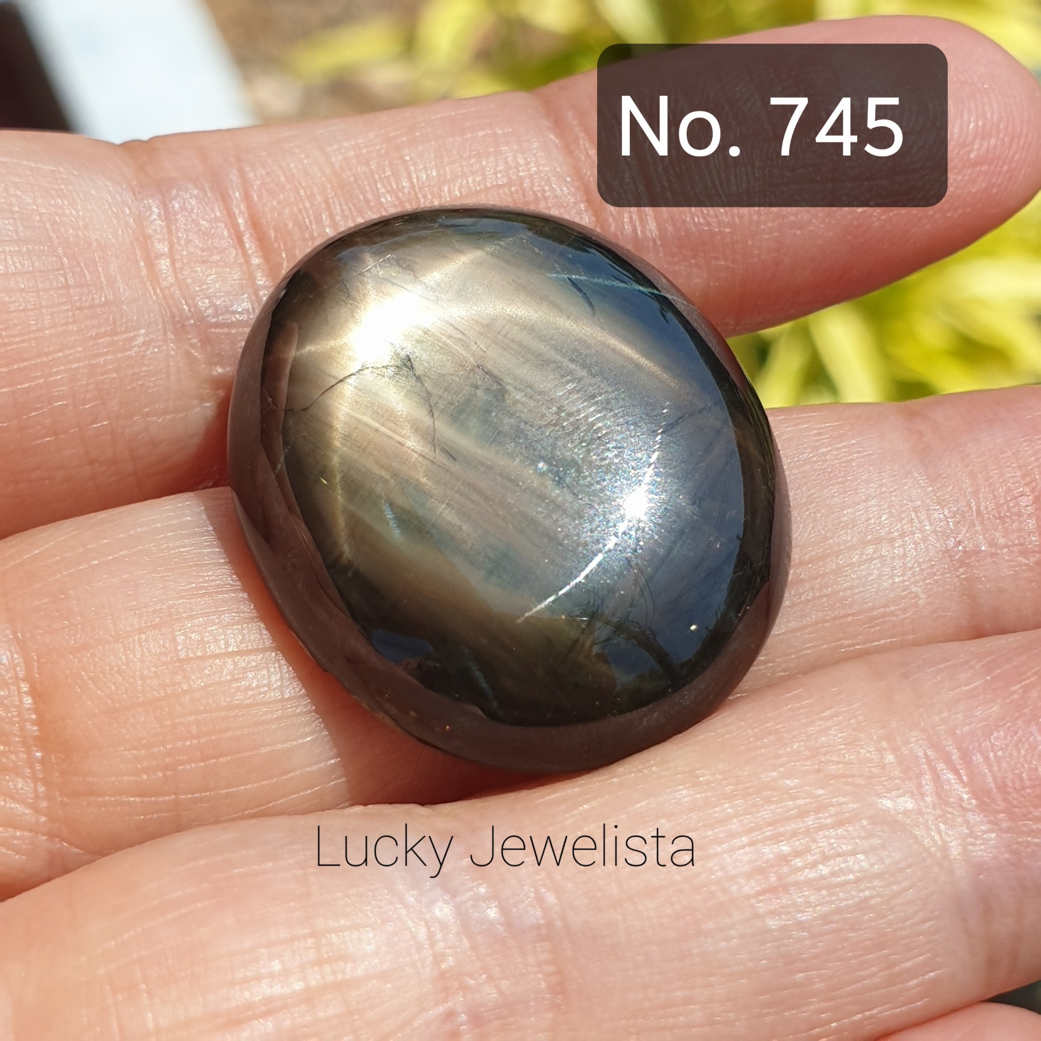 พลอยสตาร์ แซฟไฟร์ บางกะจะ Black Star Sapphire สีดำ 57.31 กะรัต ทรงไข่