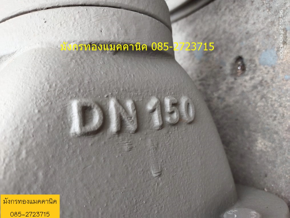 ประตูน้ำบนดิน ขนาด 6 นิ้ว มี มอก. วัสดุเหล็กหล่ออย่างหนา อุปกรณ์ครบ