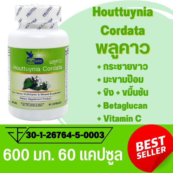 พลูคาว คาวตอง Houttuynia Cordata ตรา บลูเบิร์ด ขนาด 600 มิลลิกรัม 60 แคปซูล