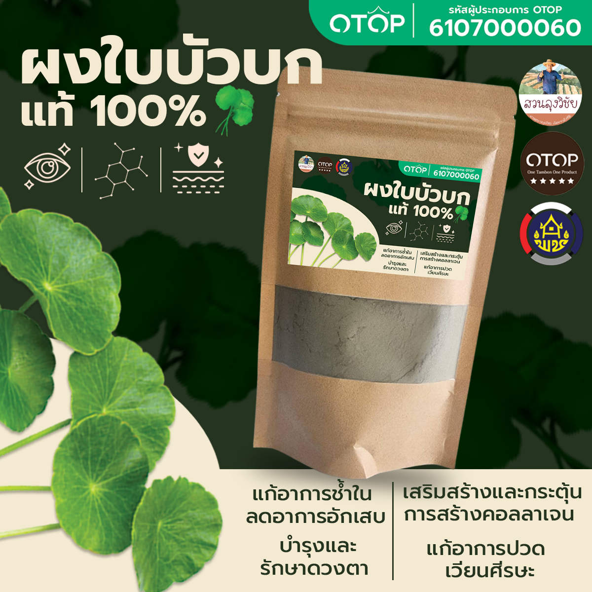 ผงใบบัวบก100% ไม่มีผสม ใบบัวบกผง100%