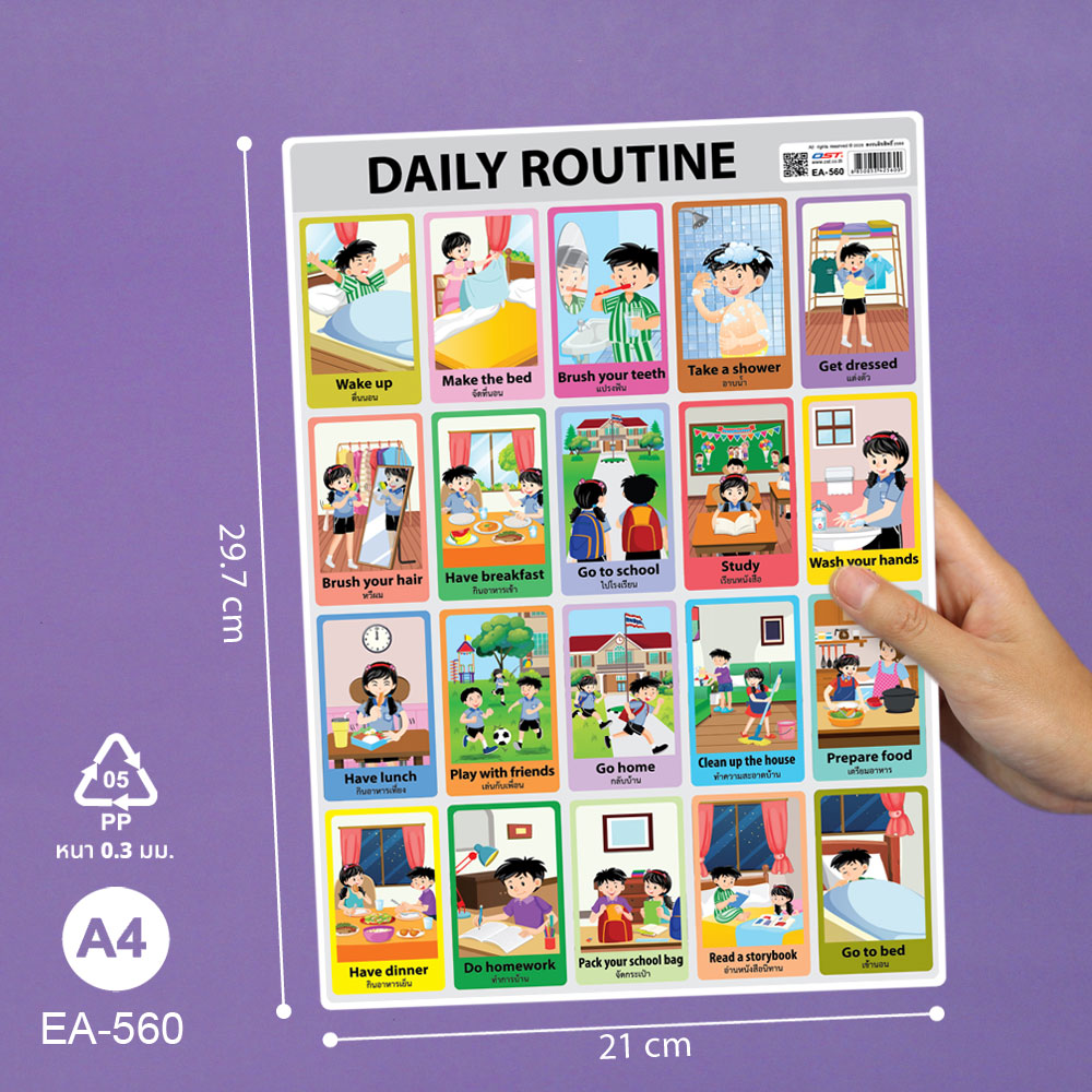 โปสเตอร์ความรู้ เรื่องกิจวัตรประจำวัน Daily Routine ขนาดA4 EA-560