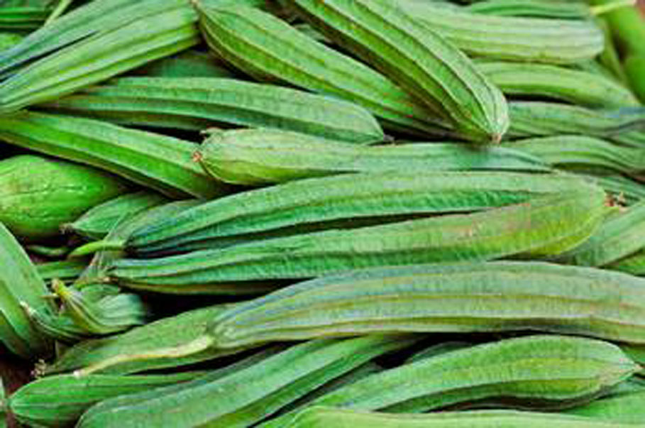 เมล็ดพันธุ์ บวบเหลี่ยม