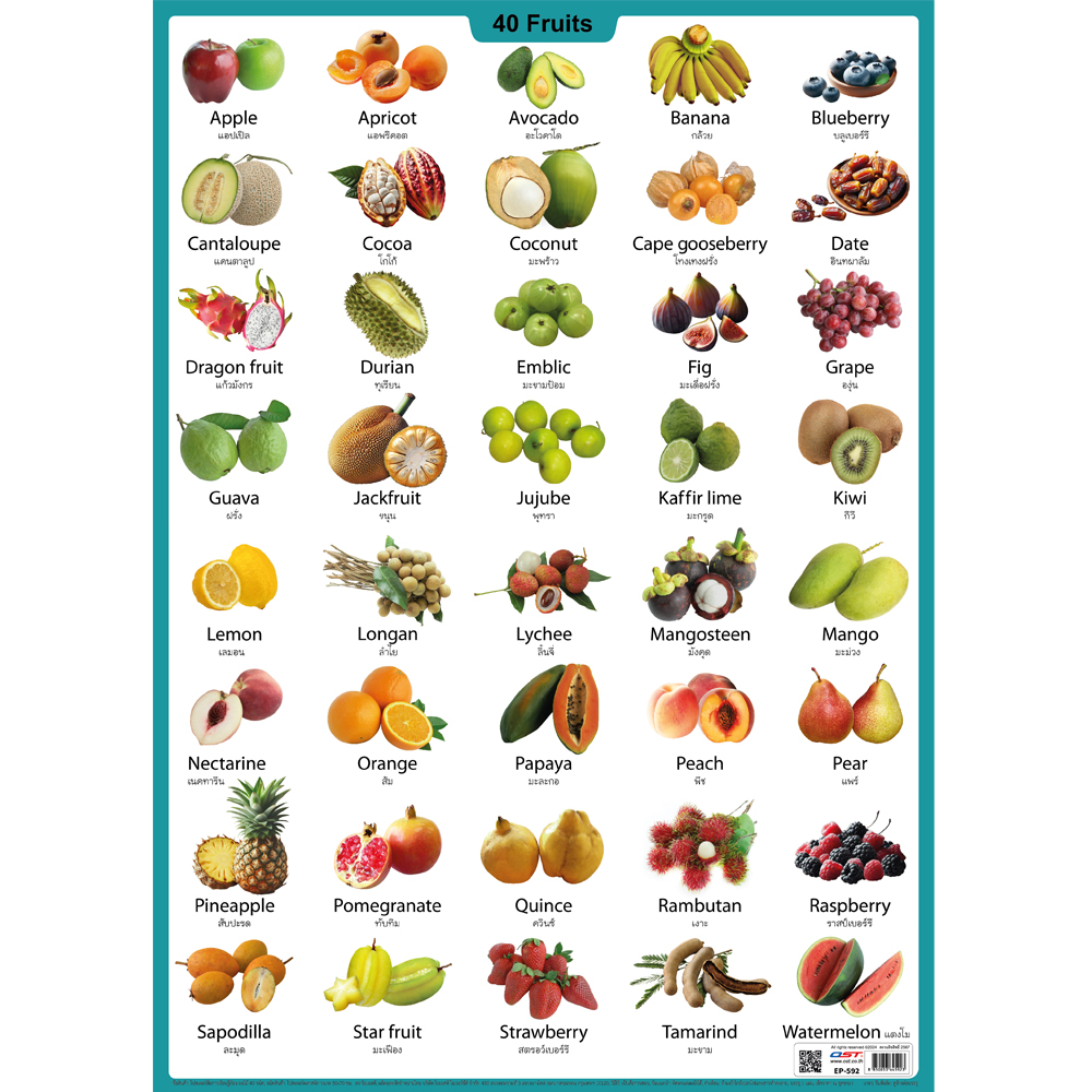 Fruits in English Educational Posters No.592