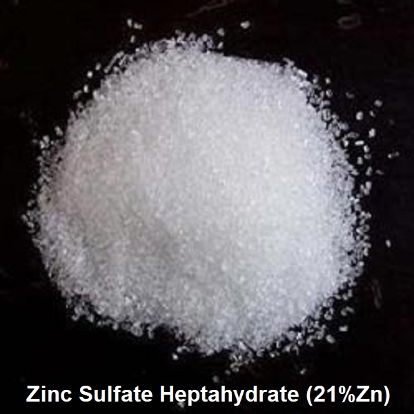 ZnSO4.7H2O Zinc Sulphate heptahydrate UTIDS ซิงค์ซัลเฟต.7H20 เกรดอุตสาหกรรม (ประกอบด้วยธาตุ Zn 21%) บรรจุ 1 กิโลกรัม (R)