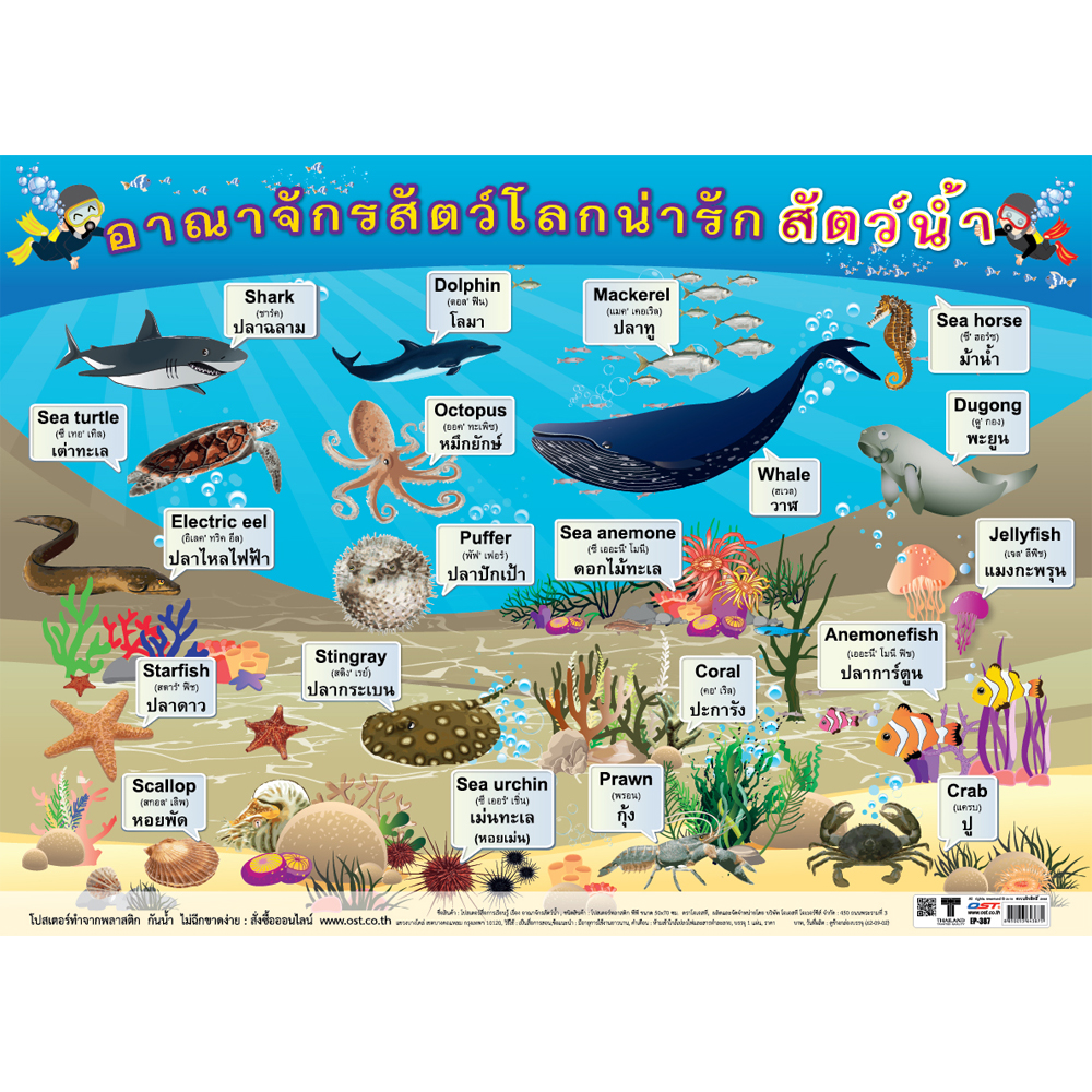 Aquatic Animals Educational Posters No.387