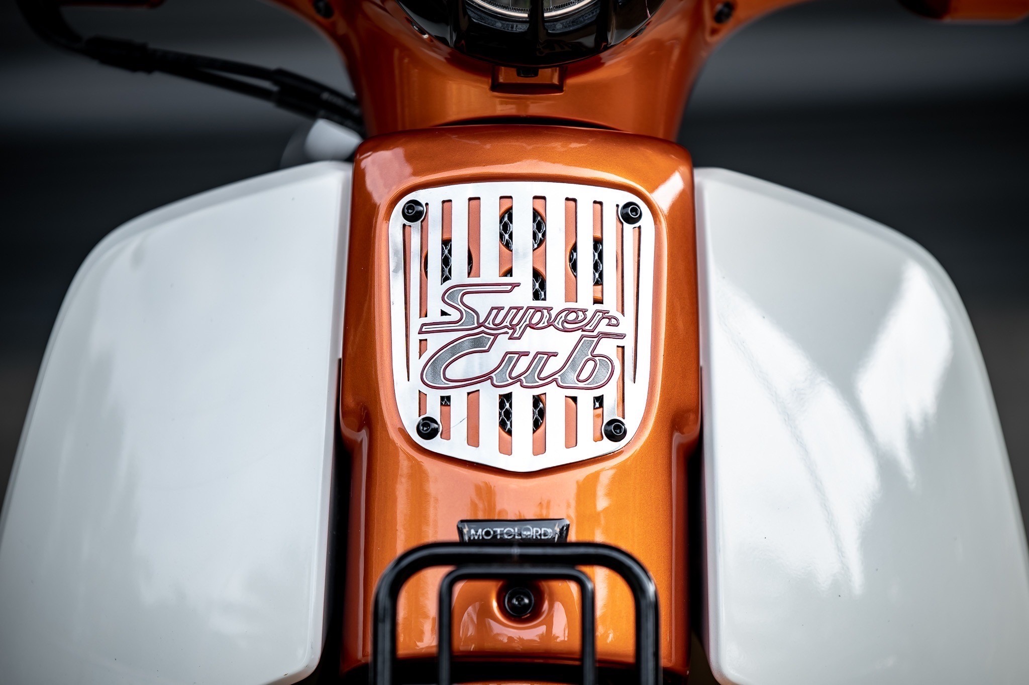 HONDA SuperCUB C125-C110 MotolordD