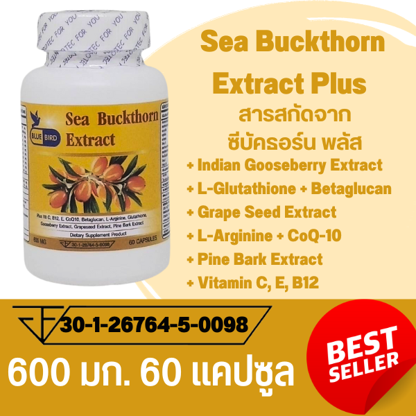 Sea Buckthorn Extract Plus สารสกัดจากซีบัคธอร์น พลัส ตรา บลูเบิร์ด 600 มก. 60 แคปซูล