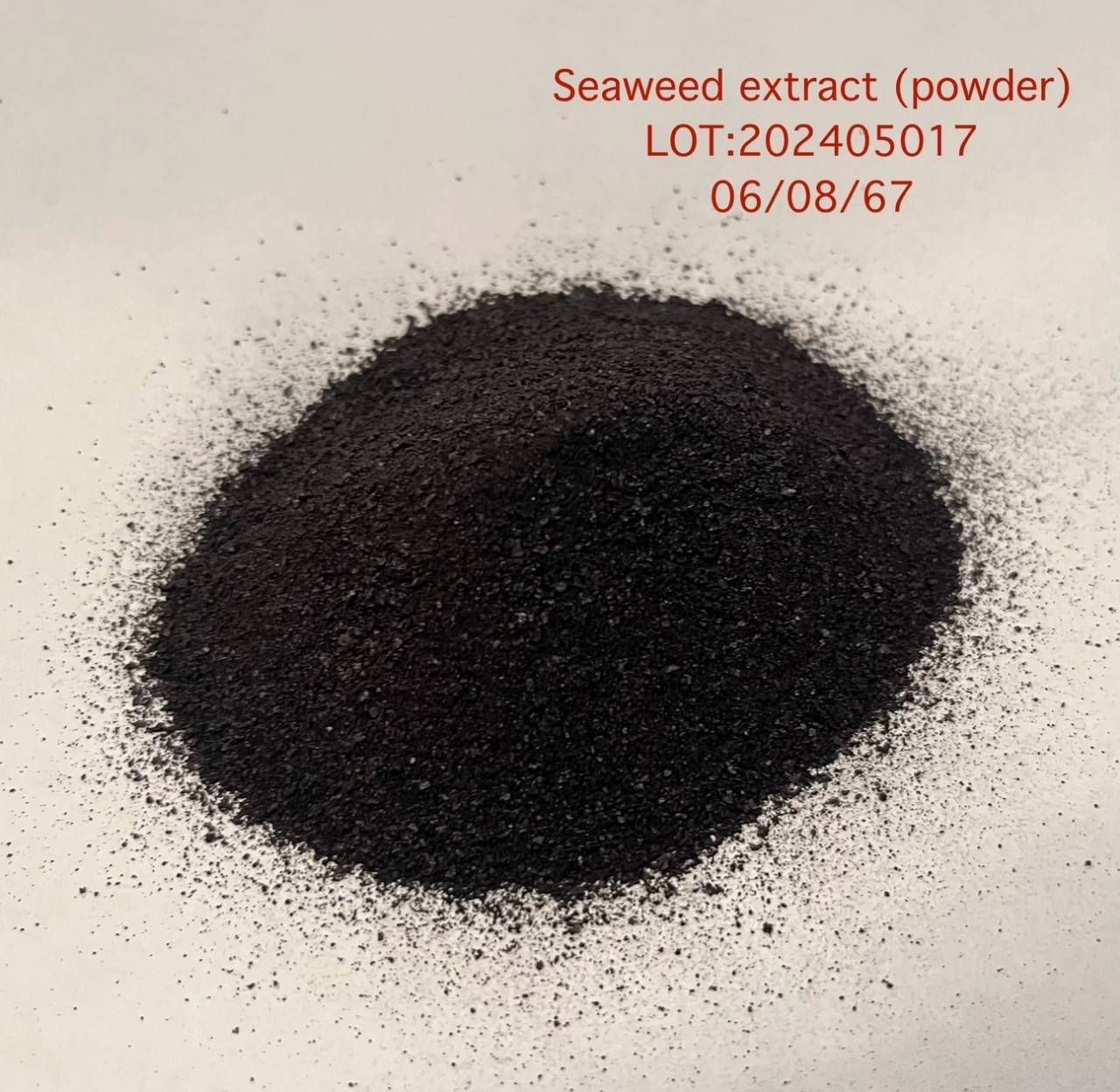 Seaweed Extract Powder ผงสาหร่ายสกัด (จีน) ละลายน้ำ 100% บรรจุ 1 กก.(R)