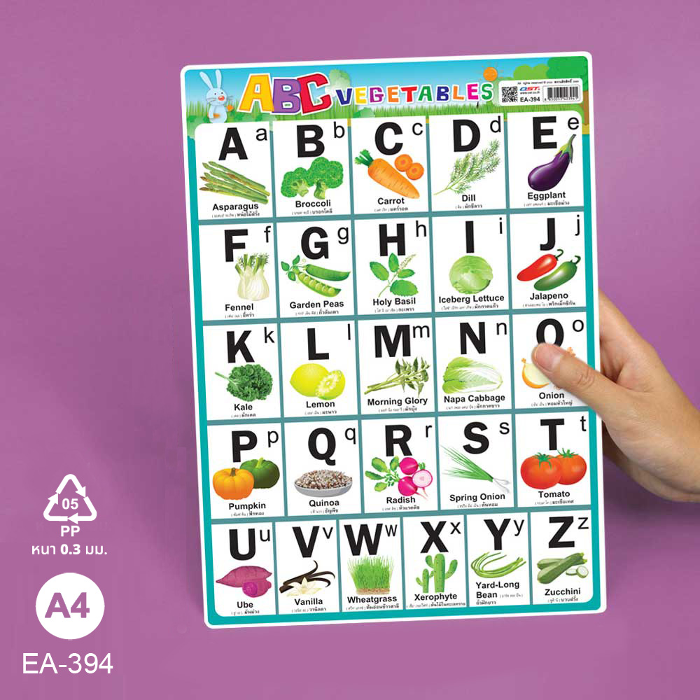 โปสเตอร์พลาสติก ความรู้ ชุดพยัญชนะ A-Z ขนาดA4 EA-394 Vegetables