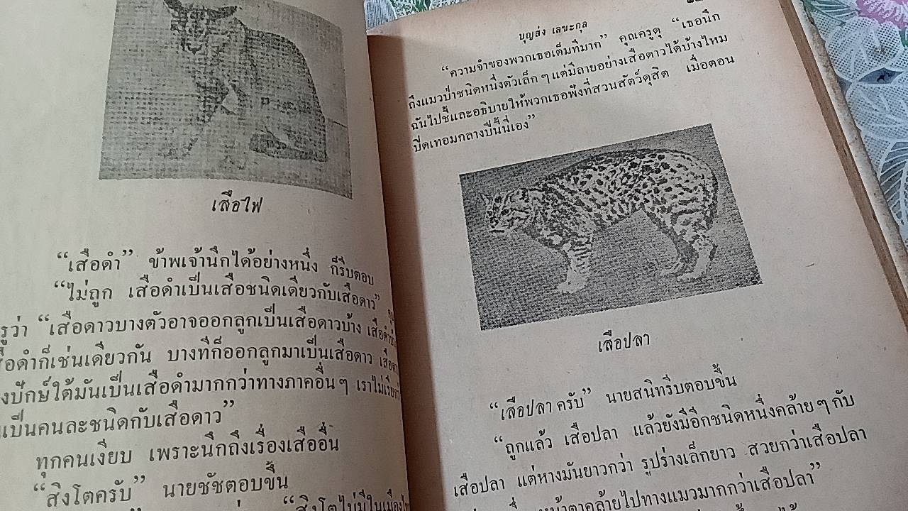 เที่ยวป่า