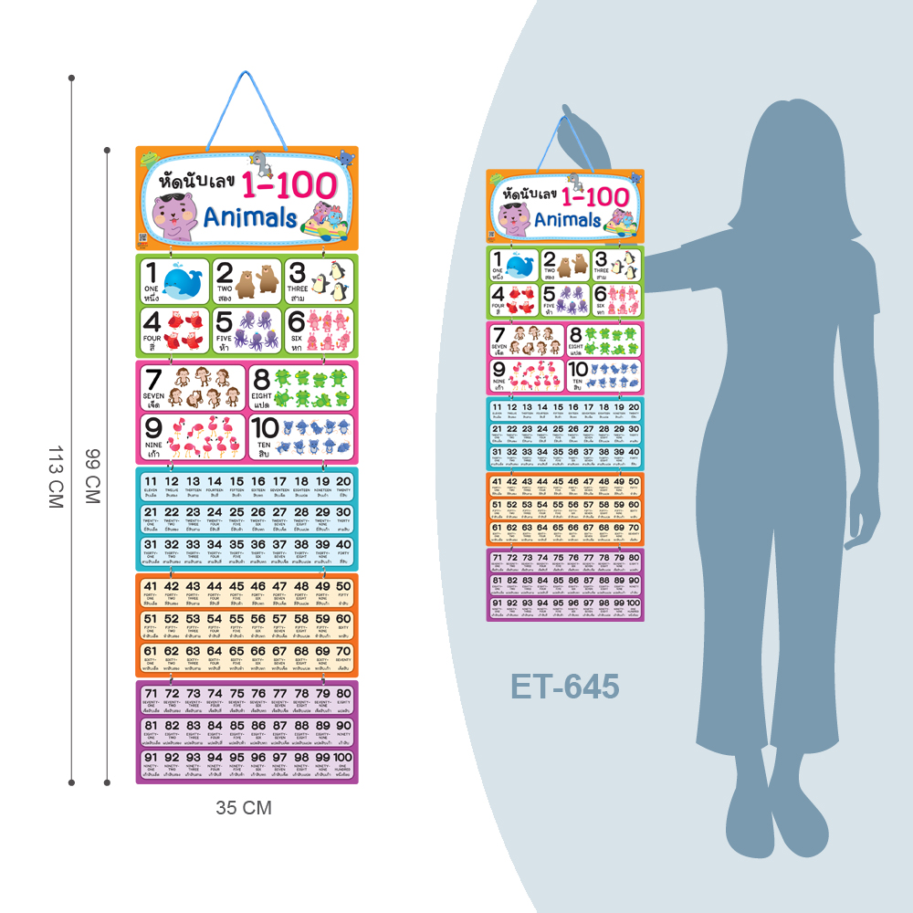 Hanging Display Flashcards Counting Numbers 1-100