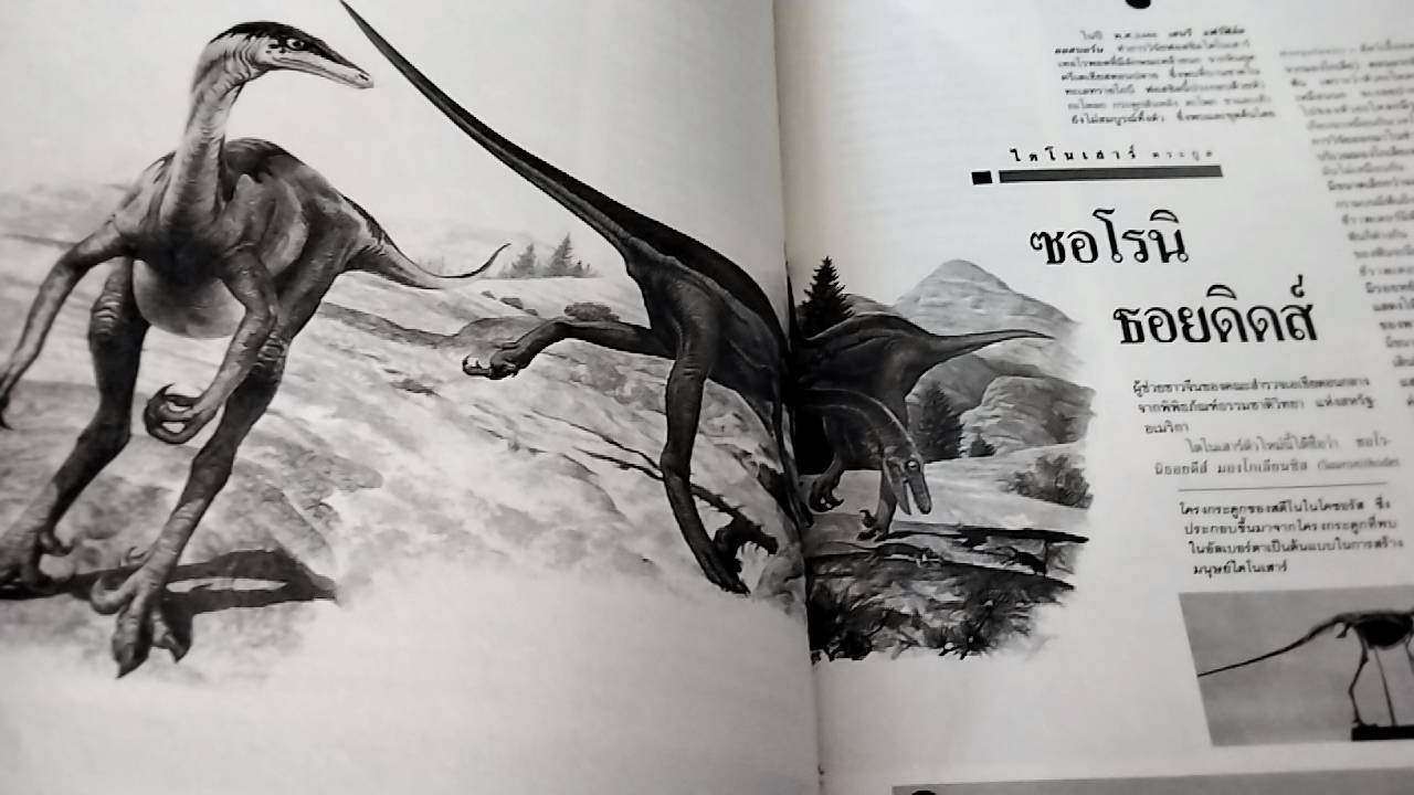 ไดโนเสาร์