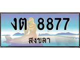 ทะเบียนรถสงขลา งต 8877 หรูหราเหนือระดับ “งานหนัด”