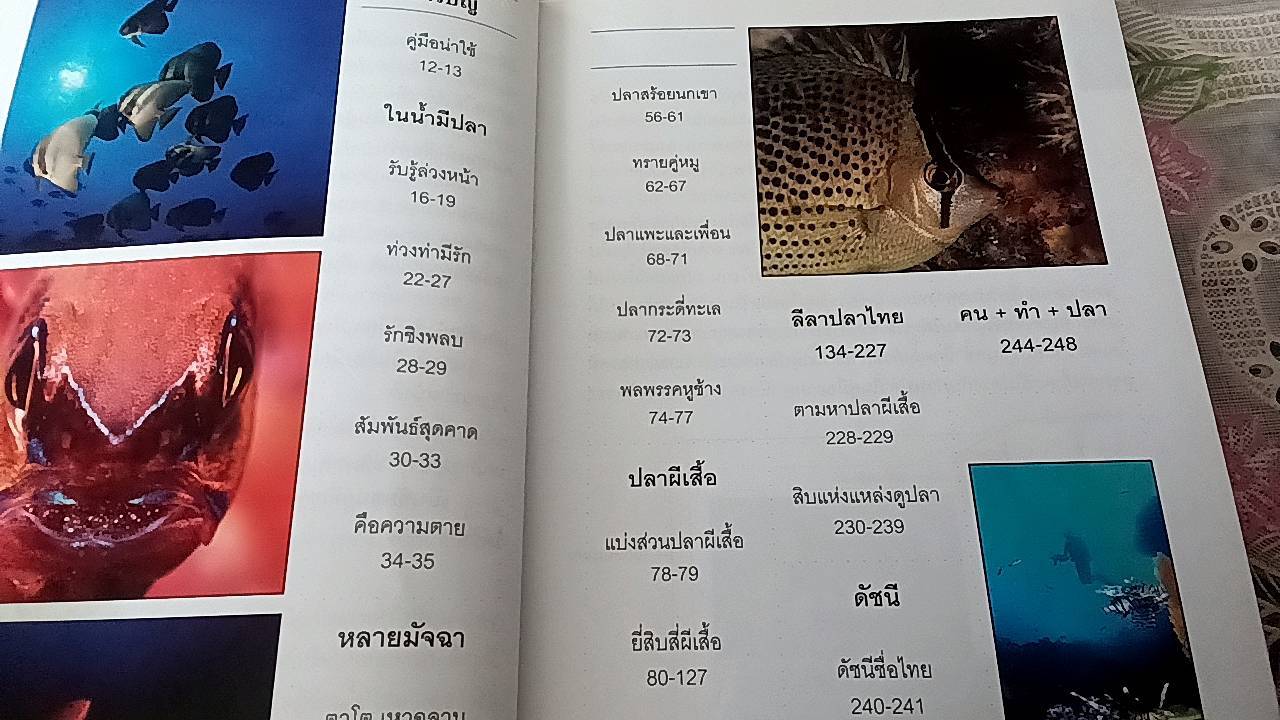 ปลาทะเลไทย เล่ม 2