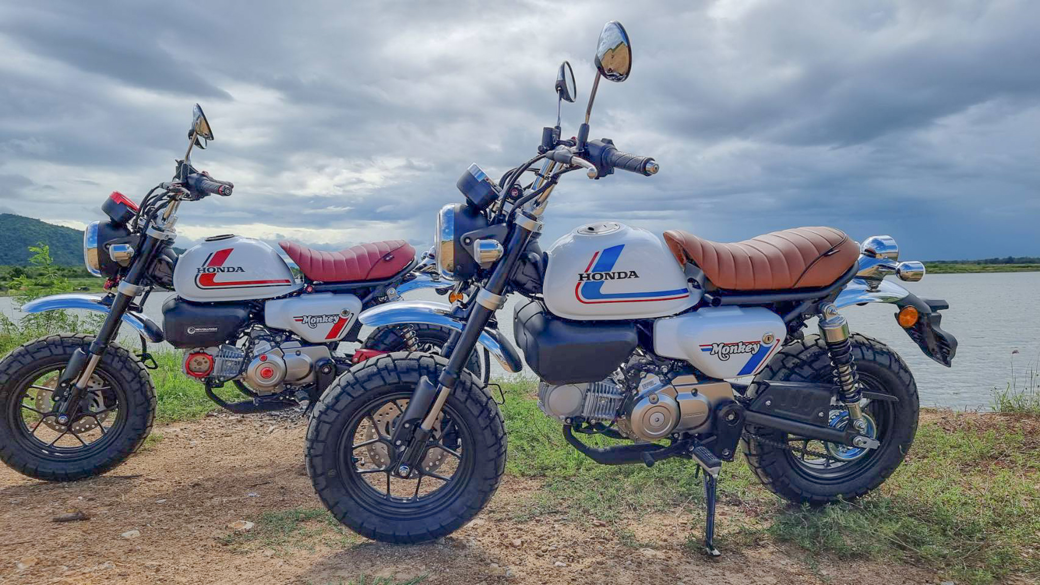 เบาะ HONDA MONKEY 125 หน่อยวัดด่าน มีสีดำ แดง น้ำเงิน น้ำตาล ราคา2500