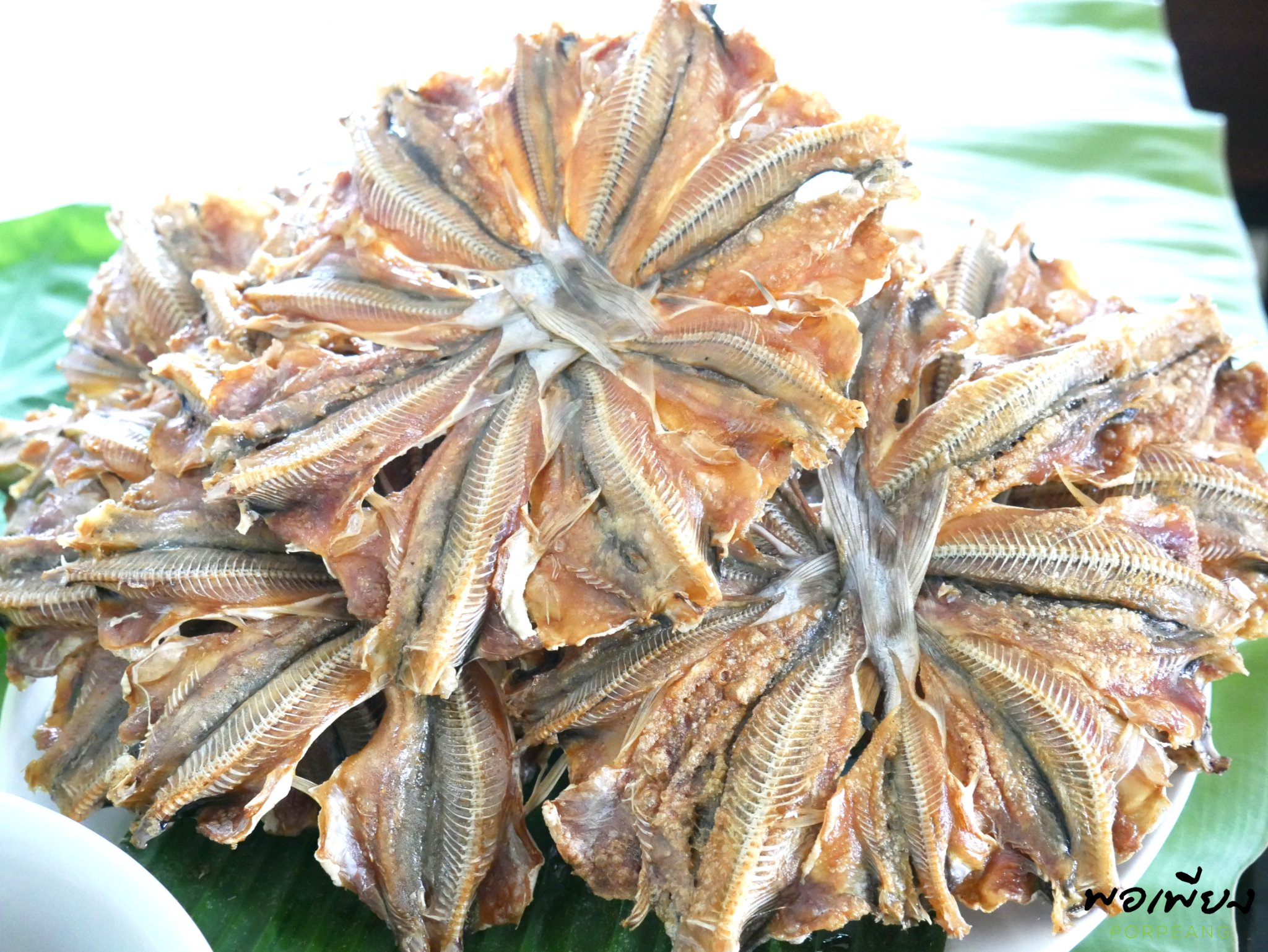 ปลาหัวโม่งตากแห้ง แพค 10วง(ปลีก)