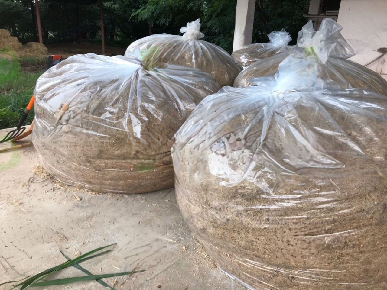 ถุงพลาสติกขนาดใหญ่ 70 x 90 นิ้ว (กว้าง 1.78 เมตรxยาว 2.5เมตร) PE 90ไมครอน 1 ชิ้น - Jumbo Plastic Bag 70 x 90 " (178x250 cm) 1 piece