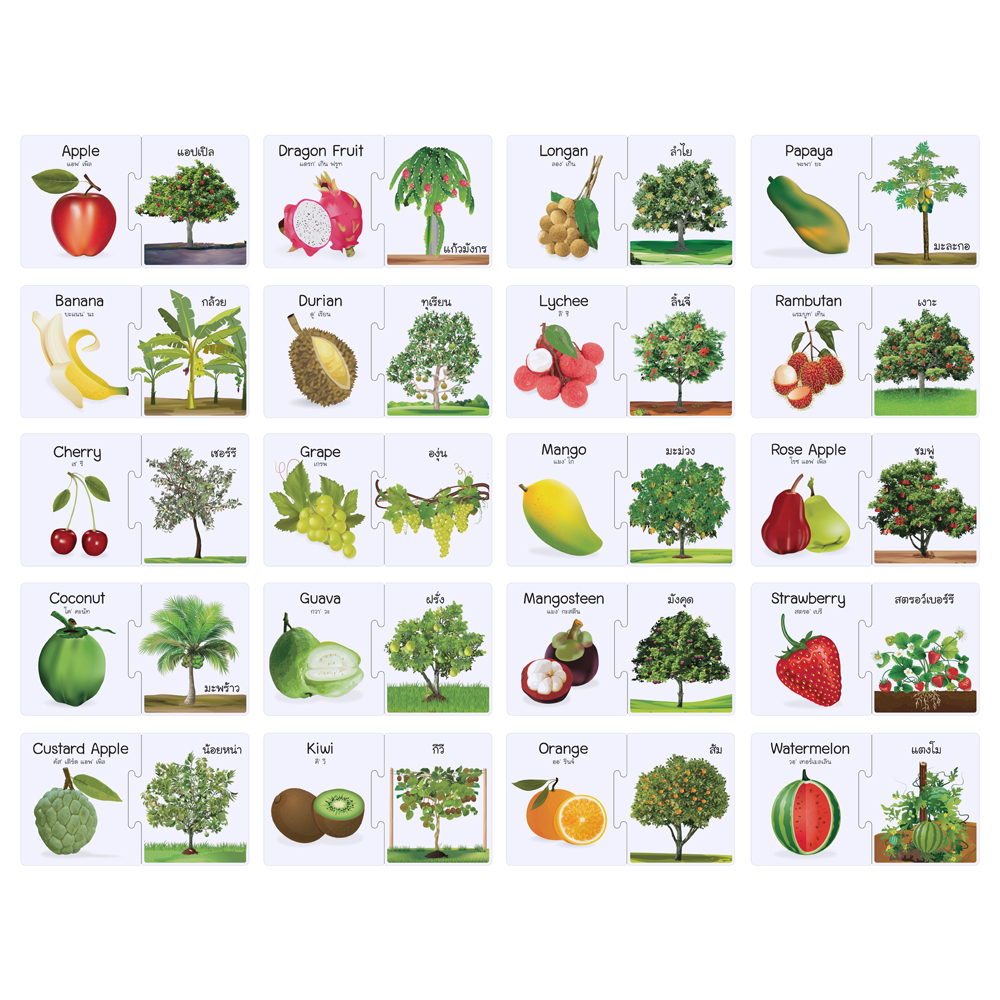 เกมต่อภาพจับคู่ บัตรคำ ชุดผลไม้ ต้นและผลผลิต ET-558