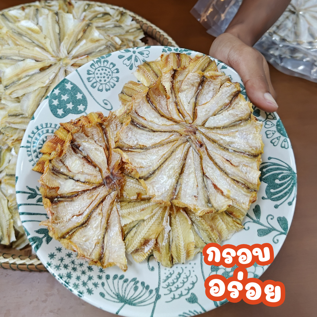 ปลาแมว (แบบวง) ราคาส่ง 10 แพค