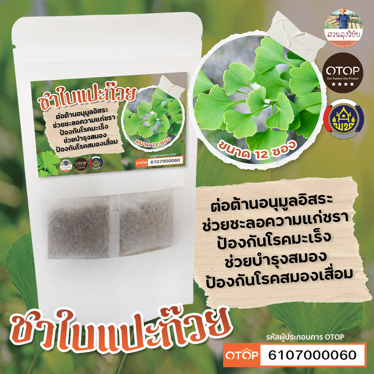 ชาใบแปะก๊วย Ginkgo Biloba Tea ชาใบแปะก๊วย ชาแปะก๊วยแบบซองไม่มีน้ำตาล 12 ซอง
