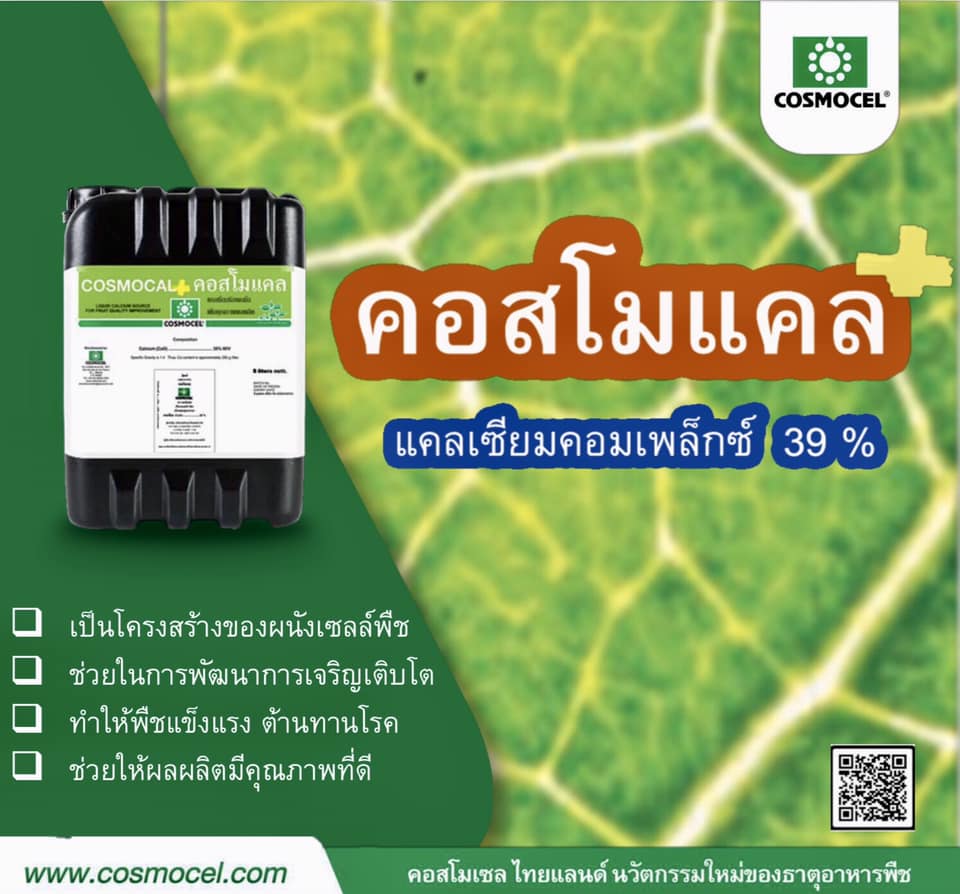Cosmocal คอสโมแคล แคลเซียม แอล-อะมิโนคีเลต 20%CaO (Cosmocel) บรรจุ 1000 ml