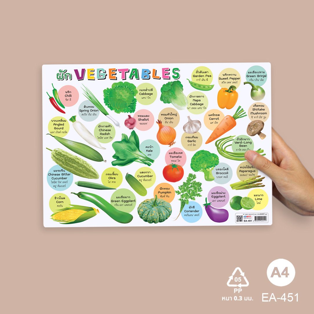 โปสเตอร์ความรู้ คำศัพท์ ไทย-อังกฤษ ชุดพืช ขนาดA4 EA-451 ผัก Vegetables