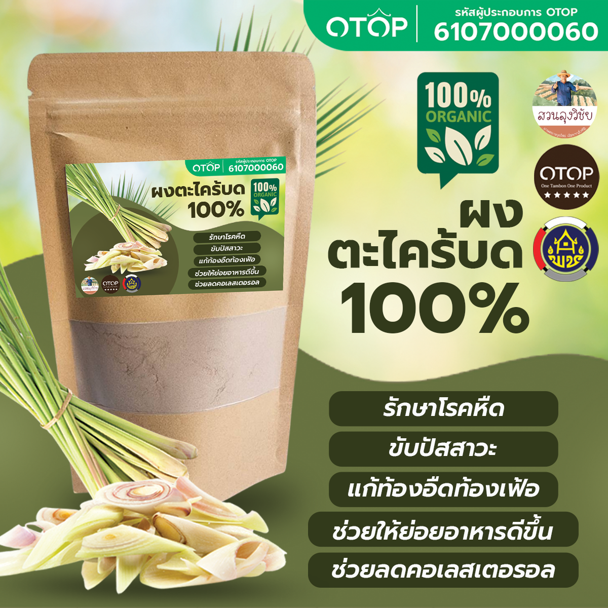 Lemongrass Powder ตะไคร้ผง ตะไคร้บด ผงตะไคร้ บดล้วนแท้ 100% ไม่มีผสม