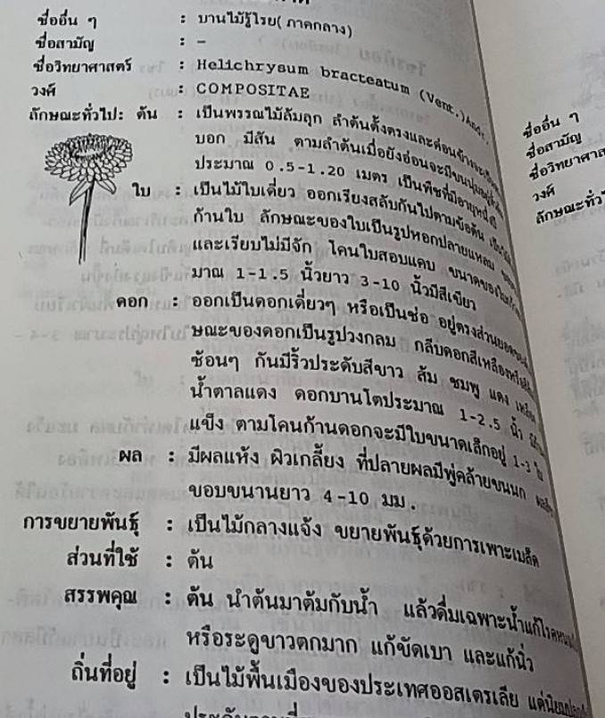 พจนานุกรม สมุนไพรไทย